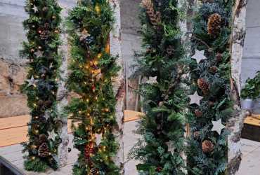 3a5a2335-7c70-4a3a-8de3-afbe849865ae