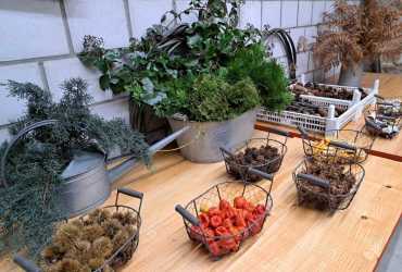 f4b7fd43-d116-412c-9bee-992e6e51049d