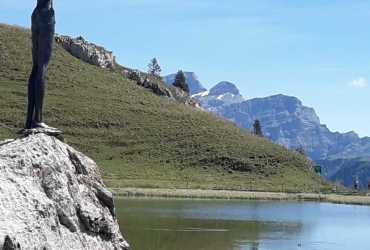 img-20200819-wa0012_50259699878_o