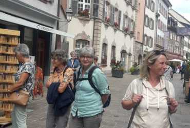 img-20210818-wa0002_51417882415_o