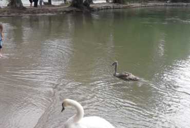 img-20210818-wa0005_51417159703_o