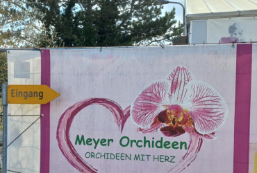 Gross-vereinsreise-062022-23_52757413324_o